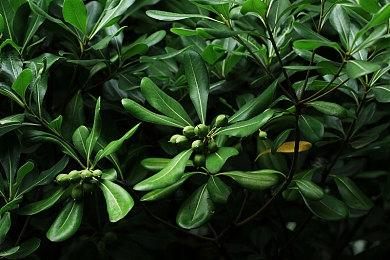 《上古卷轴5：重制版》Mod总下载量突破70亿次 太惊人了！